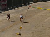 Golden Rabbit European Sandtrack-Derby Th. Ernst (147)